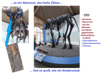 mammut2